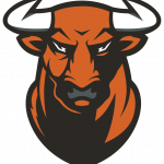 Toros Logo